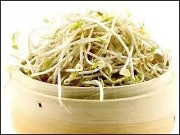 Le soja est-il n dans la boue ou  la lumire ?