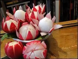 Le joyeux radis montre-t-il ses jolies couleurs sous la terre ou sur la terre ?