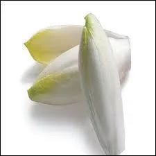 La clbre endive, croquante  souhait, vit sous la terre ou sur la terre ?