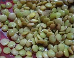 Les lentilles sont - elles  la lumire ou non ?