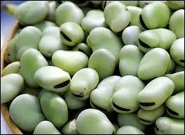 Quiz Legumes