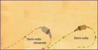 Quand je fais une demi-volte ou une demi-volte renverse :