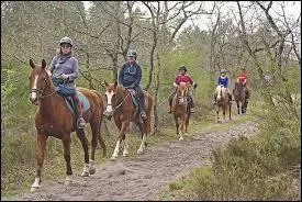 Lorsque je fais une balade :