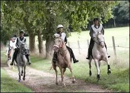 Tout  coup, ton cheval s'emballe :