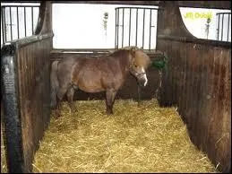 Quand tu entres dans un box :