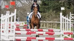 Les obstacles de concours sont :