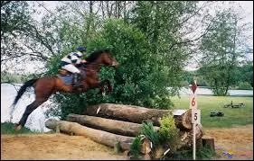 Et les obstacles de cross sont :