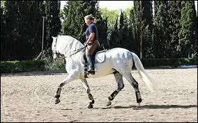 Qu'est-ce que l'accord des aides ?