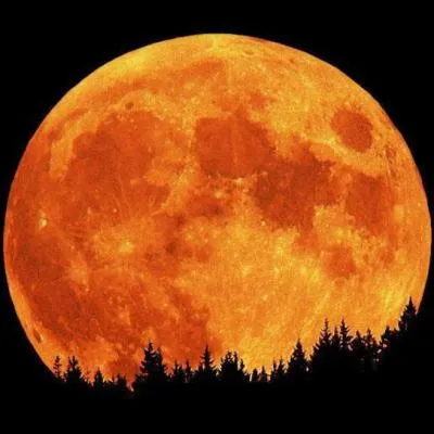  Atlantis, les Gants de la 3e lune  est une chanson extraite de l'album  Par les fils de Mandrin. Quel groupe musical en est l'auteur et l'interprte ?