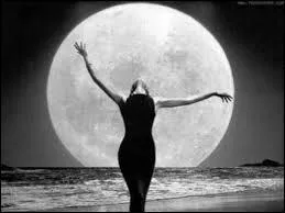 Pour Alain Chamfort, qui veut la lune ?