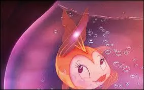 O il n'est pas impossible qu'un poisson s'prenne follement d'un chat...