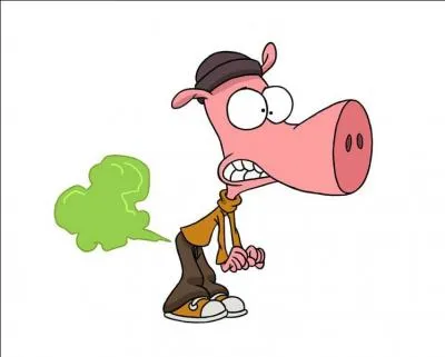 Je suis un cochon qui pte tout le temps. Qui suis-je ?