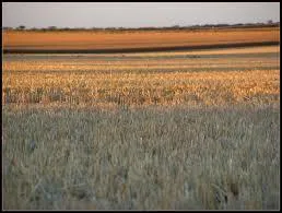 Cette petite commune se trouve en Eure-et-Loir (28) dans l'arrondissement de Chartres, et porte le nom suivant :
