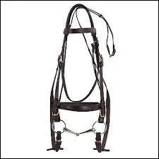 A quoi sert le filet ?