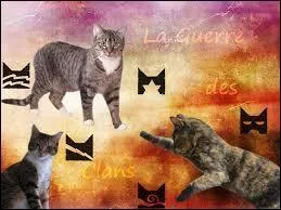A quel clan appartiennent les chats qu'il rencontre ?