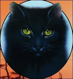 Qui sont les nouveaux amis de Nuage de Feu ?