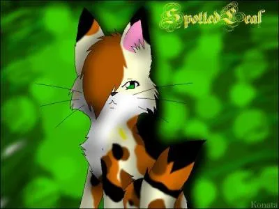 Comment se nomme la gurisseuse dont Nuage de Feu tombe amoureux ?