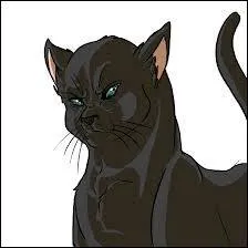 Quel est le nom du chat que craint Nuage de Feu et qui est mentor de Nuage de Jais ?