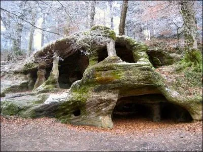 O dorment les apprentis du clan du Tonnerre ?