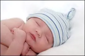 Qu'est-ce qu'Alexandra voudrait avoir, mais que Jean ne veut pas ?