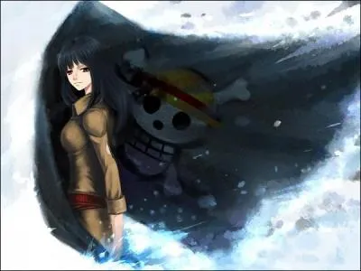 Comment Robin a-t-elle rejoint l'quipage au Chapeau de paille ?