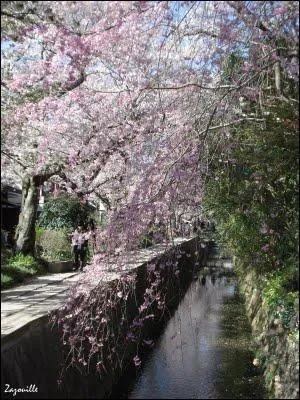 Dans quelle ville est-il possible d'emprunter  le chemin de la philosophie  ?