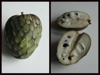 Comment appelle-t-on ce fruit exotique dont la chair blanche est absolument dlicieuse ?