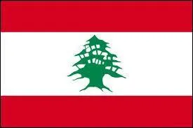  quel pays correspond ce drapeau ?