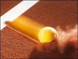 F�vrier : Qui fut un tennisman renomm� ?