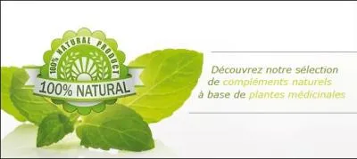 Frre de Bonemine, on ne peut pas dire qu'Abraracourcix l'apprcie beaucoup !