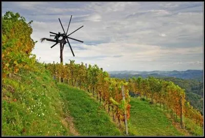 La rgion du Sausal au sud-ouest de la Styrie, est l'un des plus hauts (600 m) et des plus anciens (900 ans) vignobles d'Europe : mais quel est cette espce de moulin en bois ?