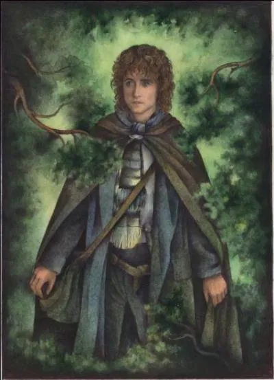 Quel est le nom de Pippin et Merry ?