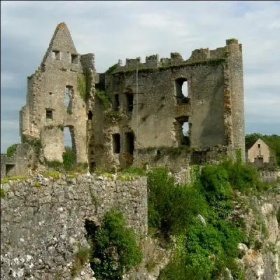 Dans quel dpartement dcouvrirez-vous le superbe village d'Angles-sur-l'Anglin connu pour ses clbres jours ?