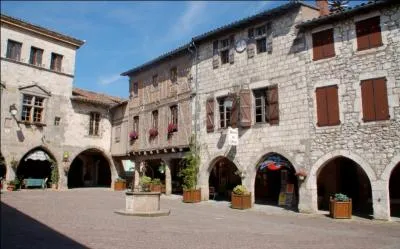 Dans quel dpartement pourrez-vous vous promener dans les pittoresques rues de Castelnau-de-Montmiral, bastide fonde par le comte de Toulouse dont l'glise Notre-Dame-de-l'Assomption possde une croix reliquaire orne de 354 pierres prcieuses ?