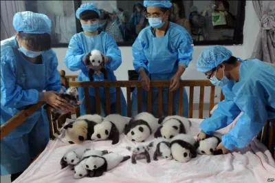 Il s'agit d'une organisation trs protectrice !