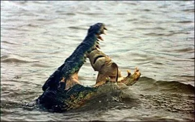 J'espre bien ne pas avoir  vous lober sur cette dernire rponse !