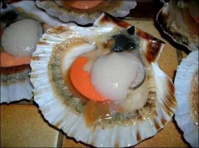 Prsente dans de nombreux pays, cette marque a fait de ce mollusque son emblme !