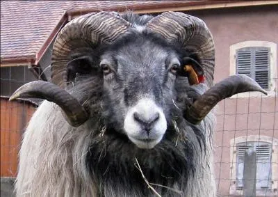 Jusqu'en mai 2010, le slogan de cette socit tait : Mordez dans la vie, attention, ce slogan est trompeur !