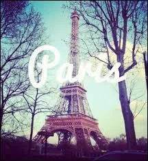 Par qui la tour Eiffel a-t-elle t construite ?