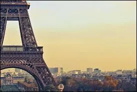 En quelle matire est-elle faite ?