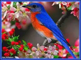 Vous connaissez maintenant les questions. Alors ?