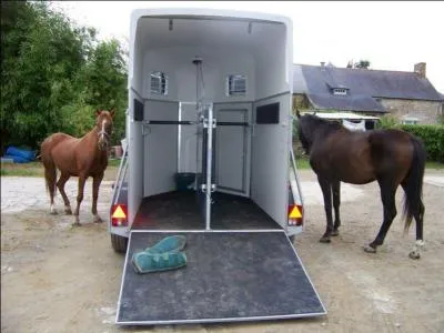 Qu'est-ce qui n'est pas une protection de transport ?