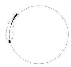 Pour dcaler les hanches de ton cheval  droite, tu...