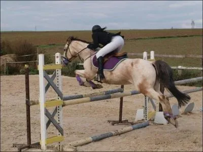 Quel est le mcanisme du saut ?