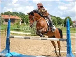 Comment s'appelle cet obstacle ?