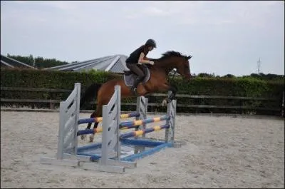 Comment s'appelle cet obstacle ?