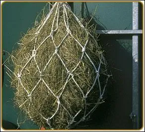 Quels sont les deux types de la premire famille d'aliments ?