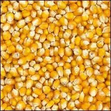 Les crales peuvent tre distribues...