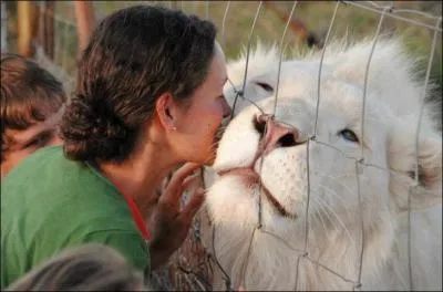 Reconnaissez-vous ce magnifique flin ?