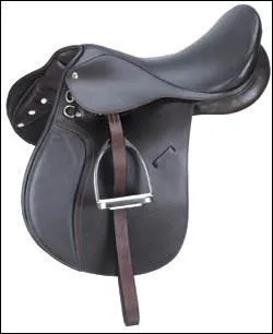 Les quipements du cheval doivent tre nettoys...